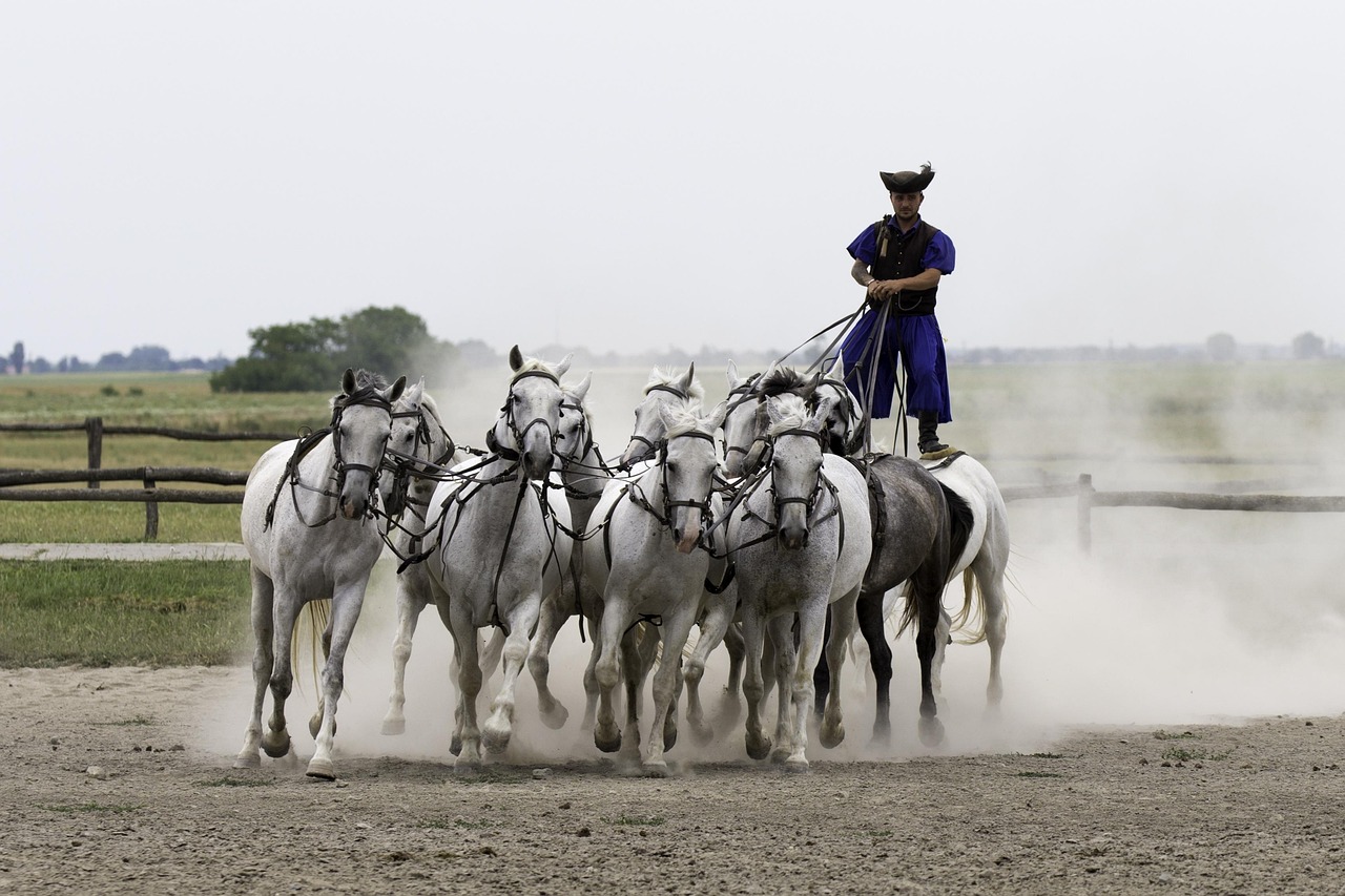découvrez les événements culturels incontournables près de chez vous : expositions, concerts, festivals et spectacles pour enrichir votre agenda et vivre des expériences uniques.