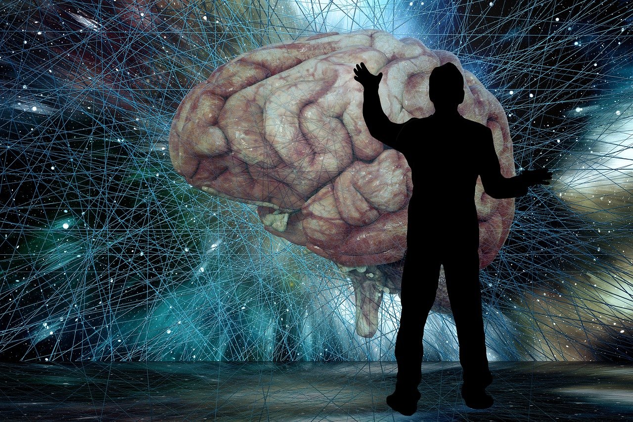 découvrez le processus de transfert de technologie, facilitant l'innovation en transférant des connaissances et des technologies entre organismes pour stimuler la recherche et le développement.