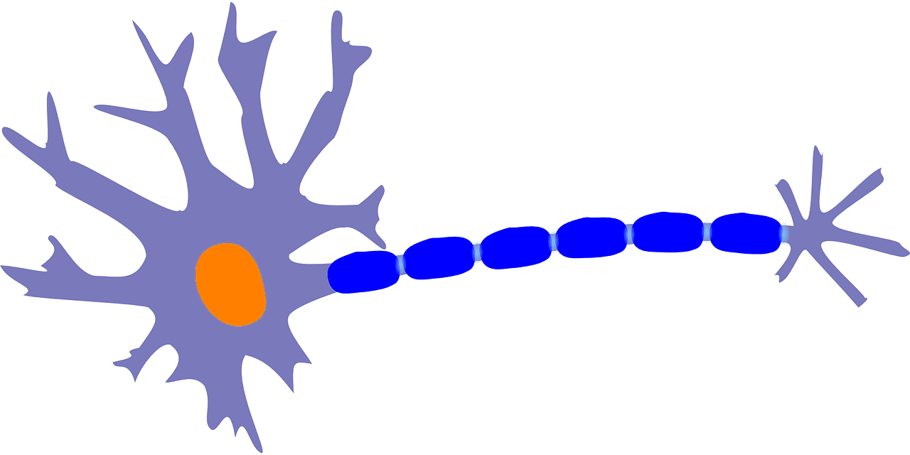 Comment les neurosciences peuvent booster notre succès en affaires