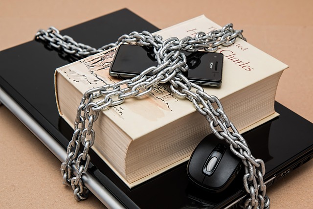 Solo : la plateforme conçue pour offrir aux solopreneurs une liberté totale
