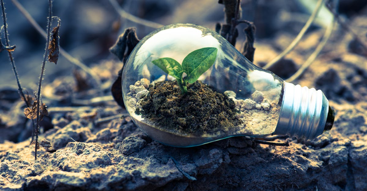 Innovation : Les tendances qui vont marquer le futur de la technologie