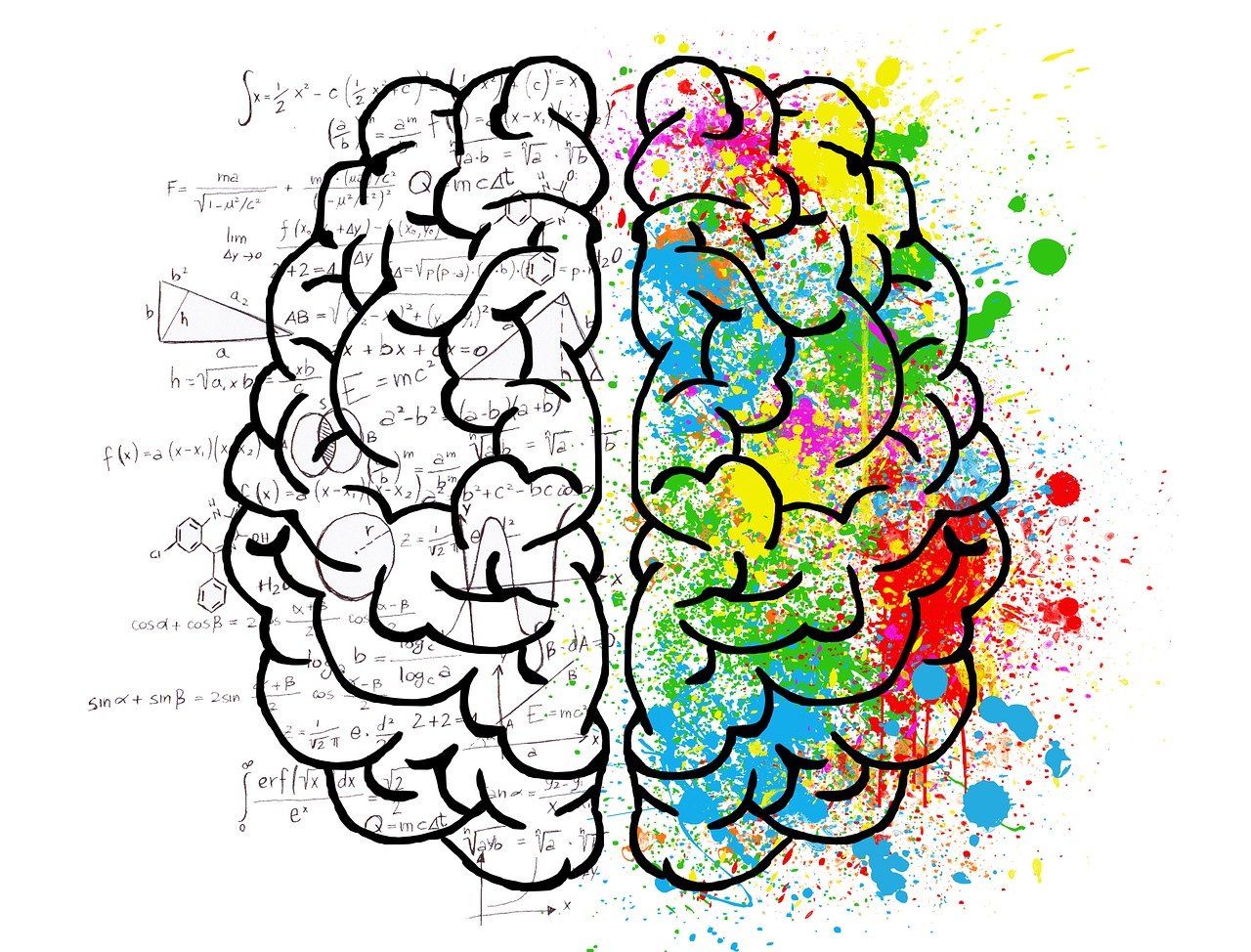 Découvrez l’univers des tutoriels créatifs