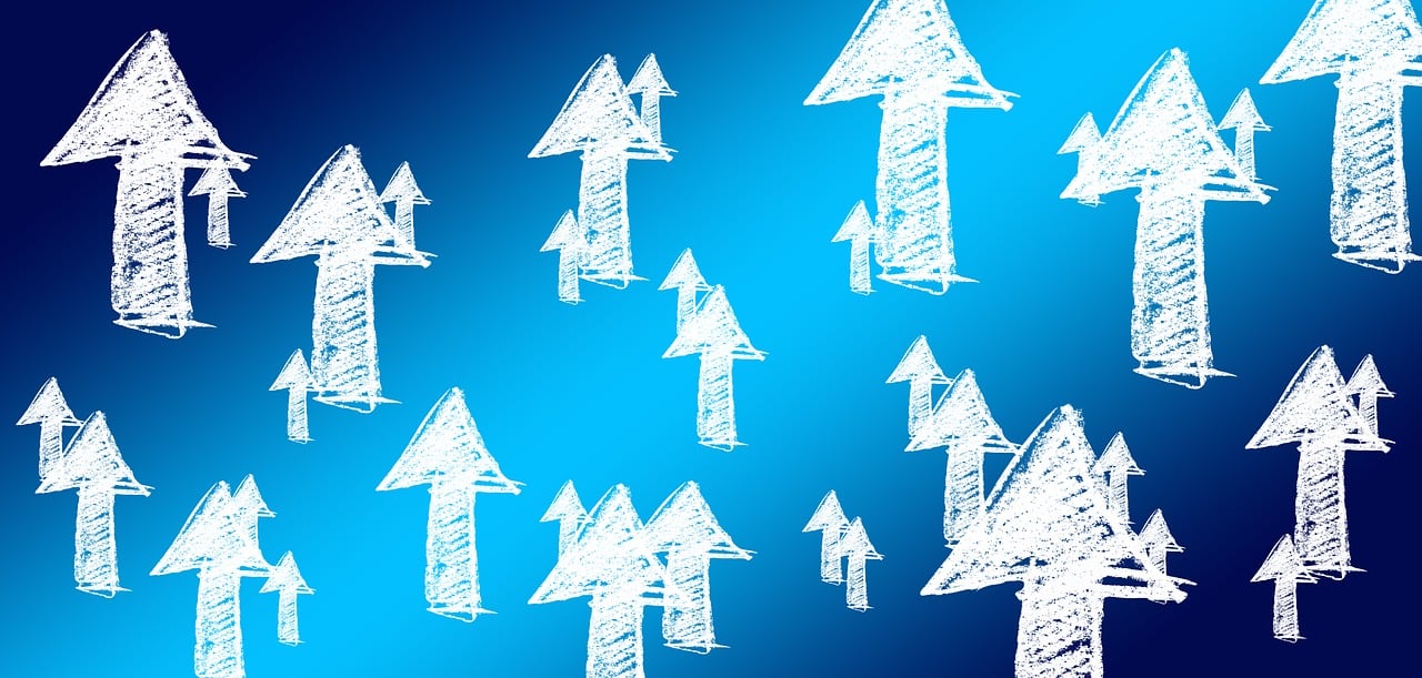 Moumoute : la stratégie astucieuse et économique de cette start-up pour booster sa notoriété sur…