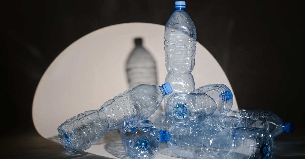 Économie circulaire : comprendre ses enjeux et ses bénéfices pour l’environnement