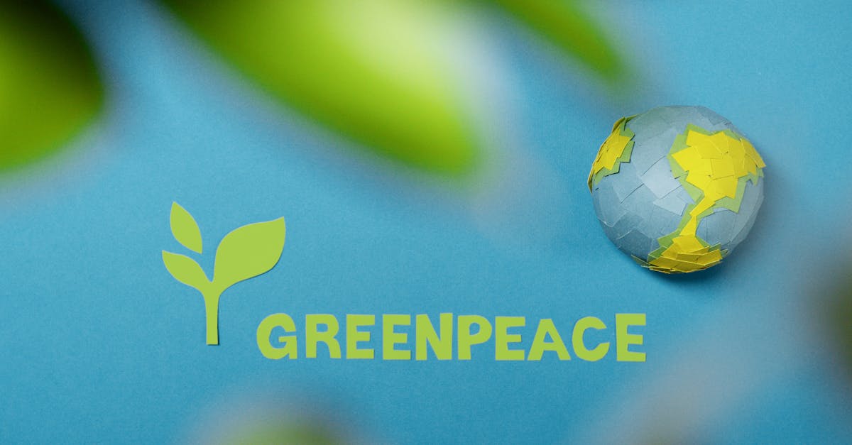 Responsabilité environnementale : Les actions indispensables pour un avenir durable