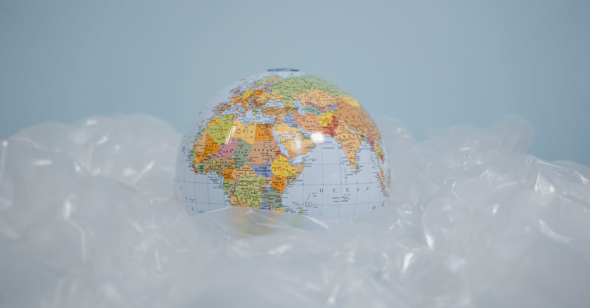 découvrez l'importance de la responsabilité environnementale pour un avenir durable. apprenez comment intégrer des pratiques écoresponsables dans votre quotidien et votre entreprise afin de contribuer à la protection de notre planète.
