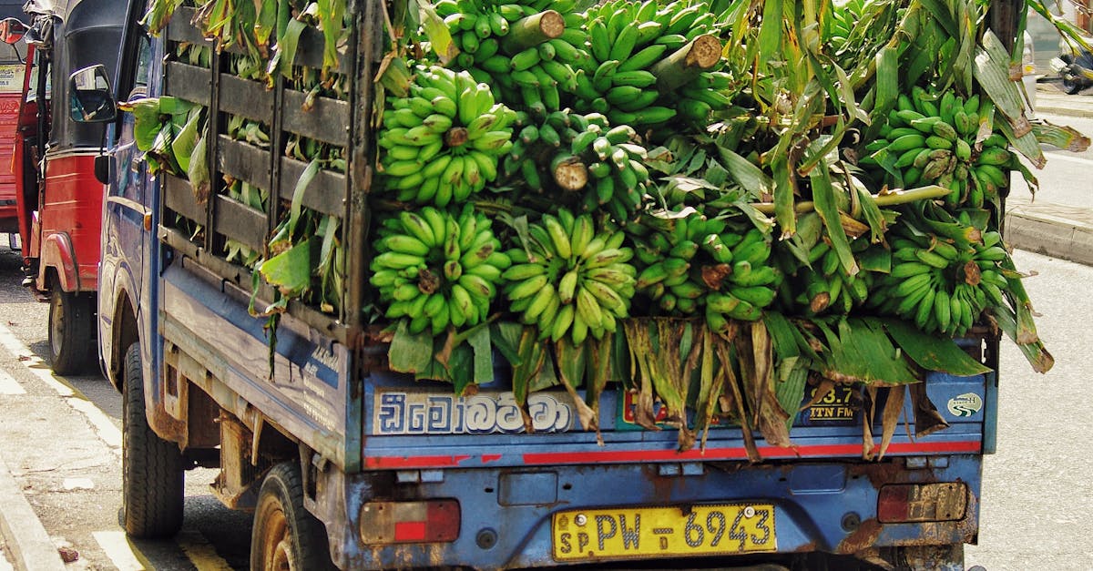 découvrez les stratégies de pénétration de marché pour maximiser votre présence commerciale. apprenez comment comprendre votre clientèle cible, analyser la concurrence et développer des méthodes efficaces pour augmenter votre part de marché.