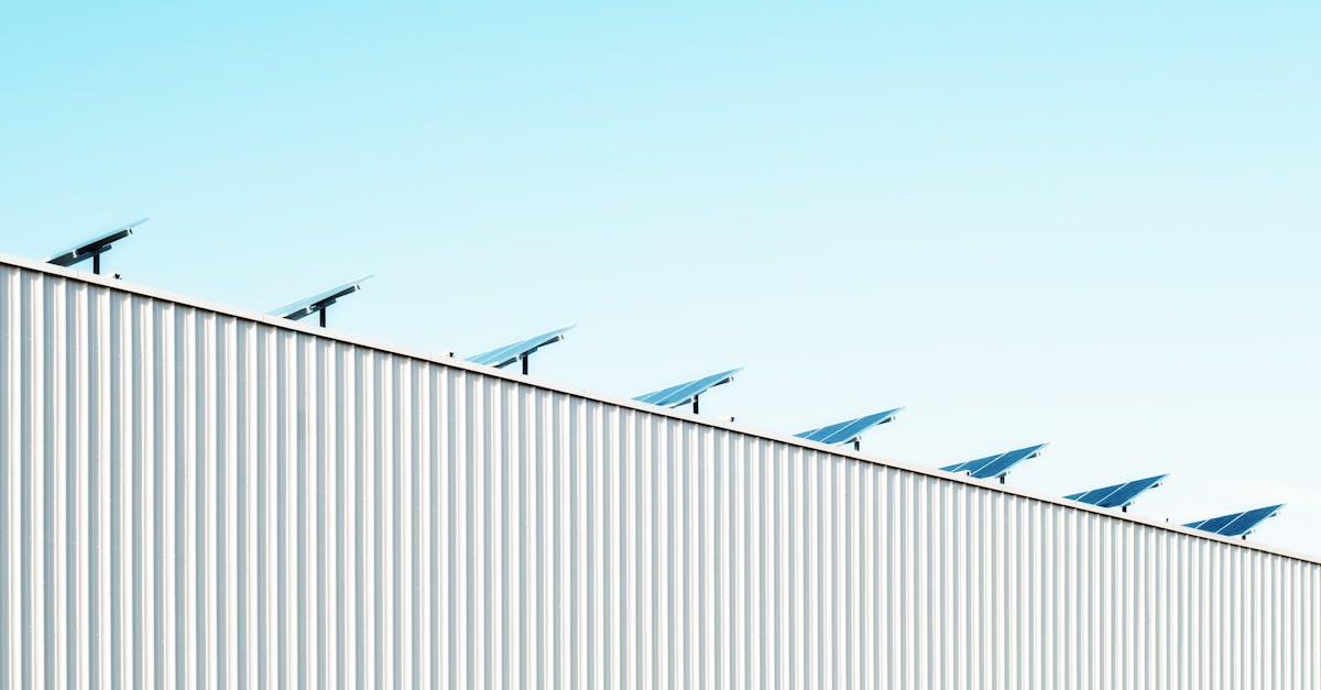 Entreprises vertes : vers un avenir durable et responsable