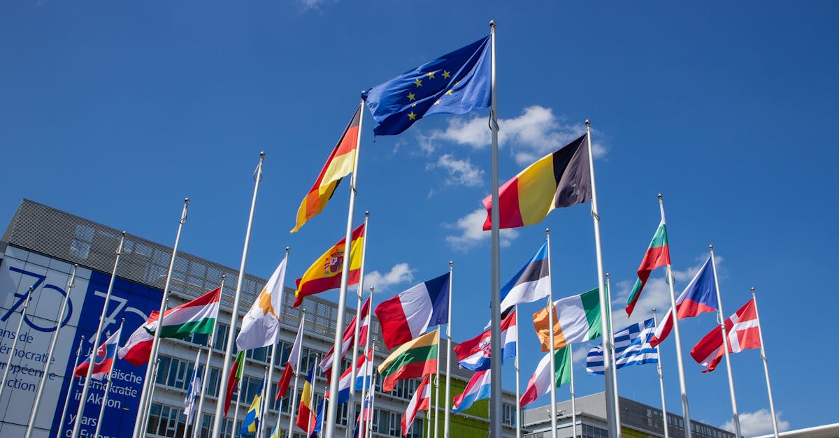 découvrez l'importance des cultures organisationnelles et comment elles influencent le succès des entreprises. explorez les différents types de cultures, leurs impacts sur la motivation des employés et les stratégies pour les développer au sein de votre organisation.