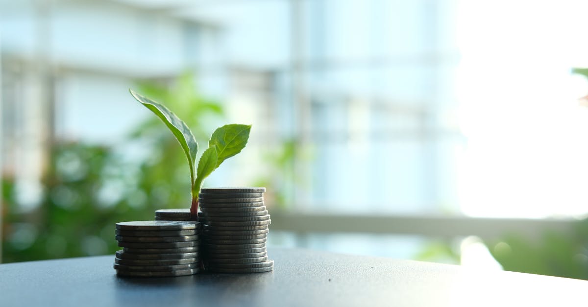 découvrez comment maximiser votre retour sur investissement (roi) grâce à des stratégies efficaces et des analyses approfondies. apprenez à évaluer et à optimiser vos décisions financières pour garantir un rendement optimal de vos investissements.