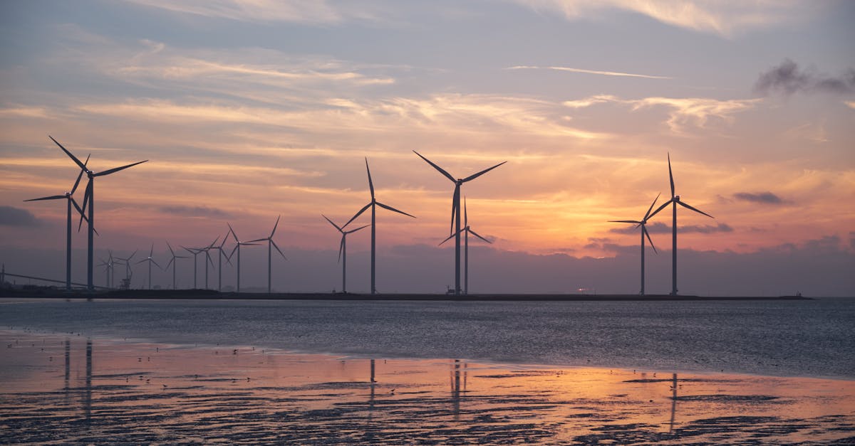 découvrez des solutions durables et respectueuses de l'environnement pour un mode de vie éco-responsable. apprenez comment adopter des pratiques qui préservent notre planète tout en améliorant votre quotidien.