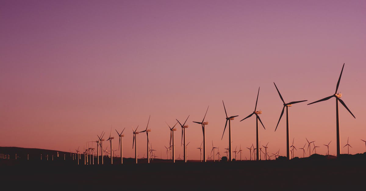 découvrez comment adopter un mode de vie durable pour préserver notre planète. explorez des solutions écologiques, des astuces pratiques et des idées innovantes pour réduire votre empreinte carbone et vivre en harmonie avec la nature.