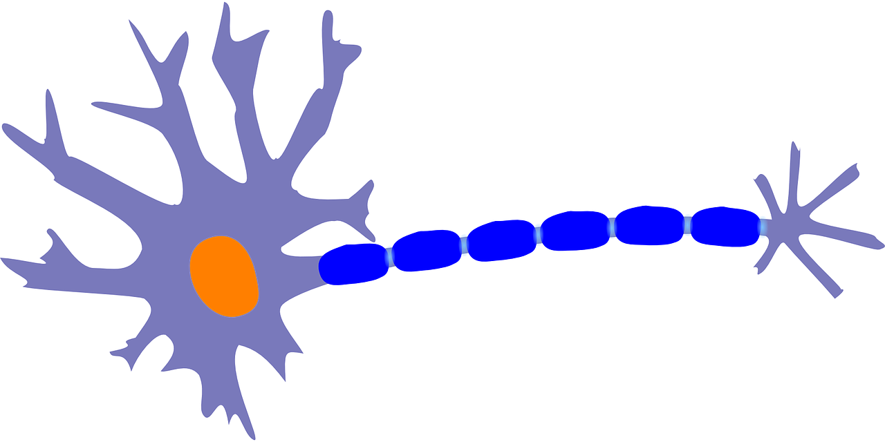 Comment les neurosciences peuvent booster notre succès en affaires