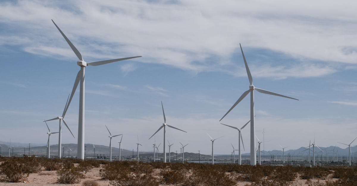 Économie et affaires : comprendre leur impact sur le développement durable