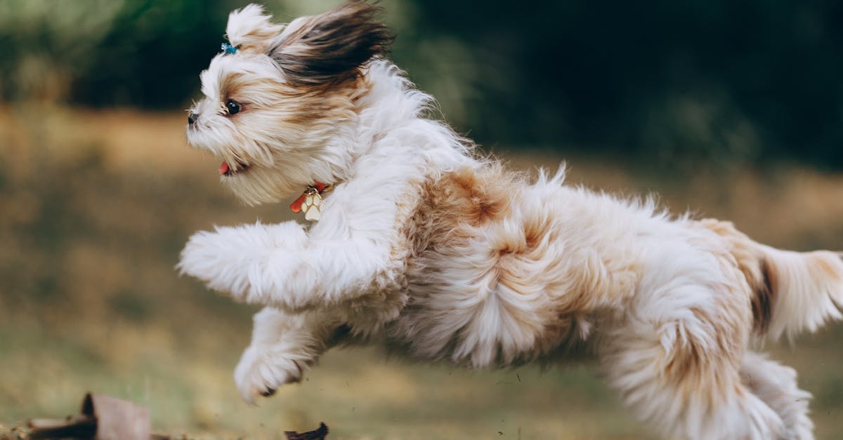 découvrez les principes et les pratiques de la méthode agile pour améliorer la gestion de vos projets. apprenez comment favoriser la collaboration, l'adaptabilité et la livraison rapide de valeur dans votre équipe.