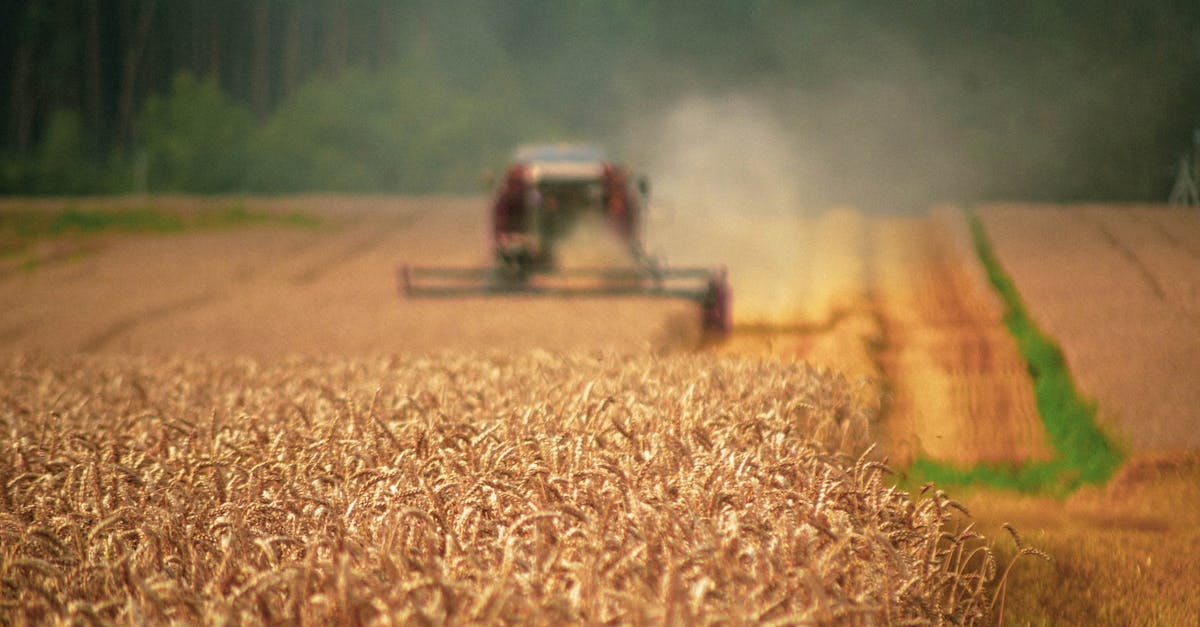 découvrez comment l'environnement économique influence les décisions des entreprises et des consommateurs. analysez les tendances actuelles, les défis et les opportunités qui façonnent notre monde économique.