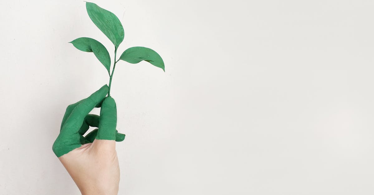 découvrez comment stimuler la croissance de votre entreprise grâce à des stratégies efficaces, des innovations éclairées et une gestion proactive. explorez les clés pour maximiser votre potentiel de développement et atteindre vos objectifs.