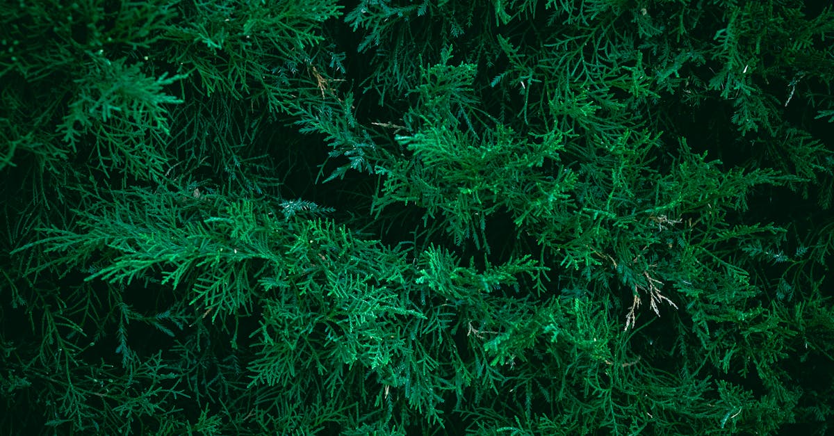 découvrez les stratégies efficaces pour favoriser la croissance organique de votre entreprise. apprenez comment maximiser l'engagement client et améliorer votre visibilité en ligne grâce à des techniques de marketing durable.