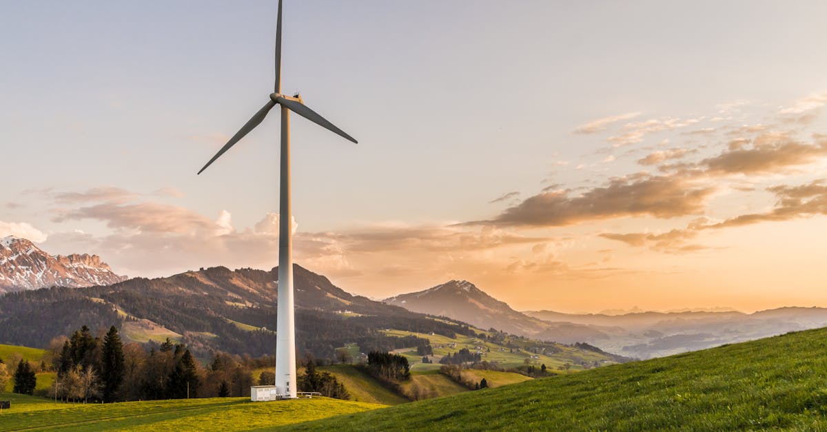 explorez les principes du développement durable, un mode de croissance qui respecte l'environnement tout en répondant aux besoins des générations présentes et futures. découvrez des stratégies pour intégrer la durabilité dans vos projets et votre mode de vie.