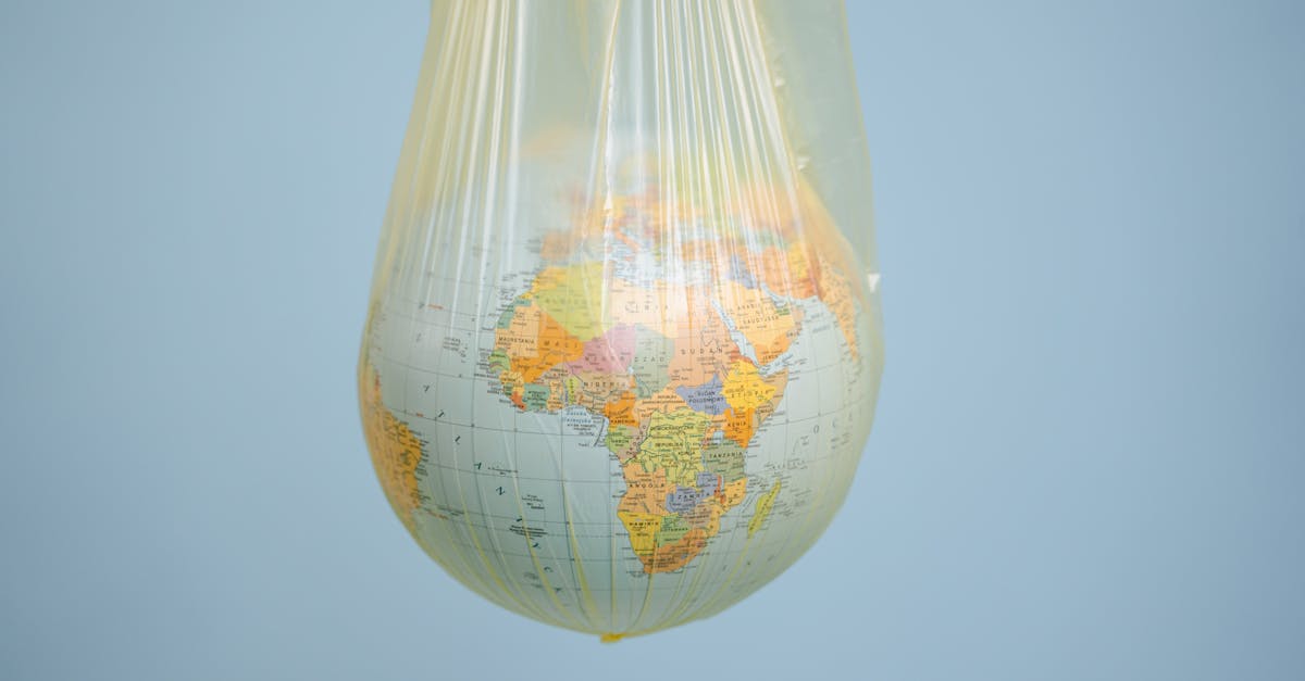 découvrez comment le développement durable transforme notre société en alliant croissance économique, protection de l'environnement et bien-être social. explorez les initiatives, les pratiques écoresponsables et les solutions innovantes pour un avenir plus vert et équitable.