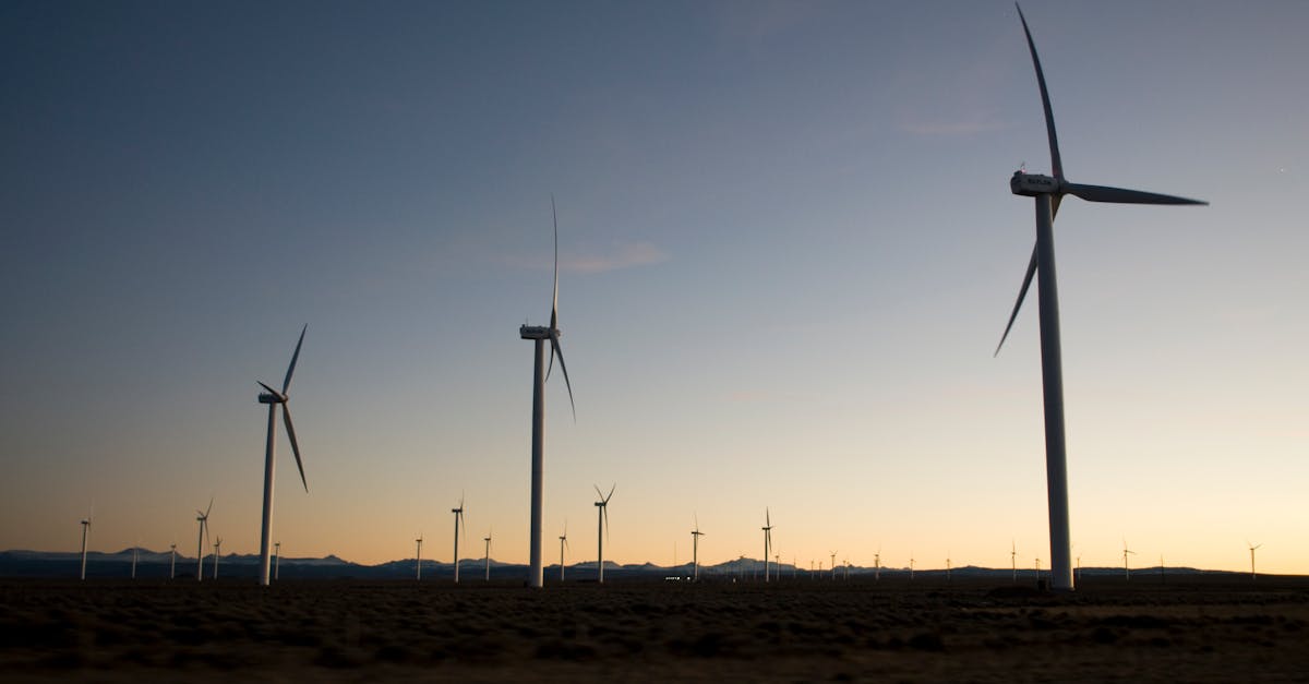 découvrez notre guide sur le développement durable, une approche qui vise à équilibrer la croissance économique, la protection de l'environnement et le bien-être social pour un avenir responsable et éthique.