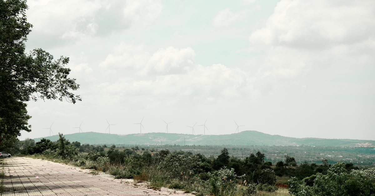 découvrez les principes du développement durable, une approche visant à concilier croissance économique, équité sociale et protection de l'environnement pour un avenir meilleur.
