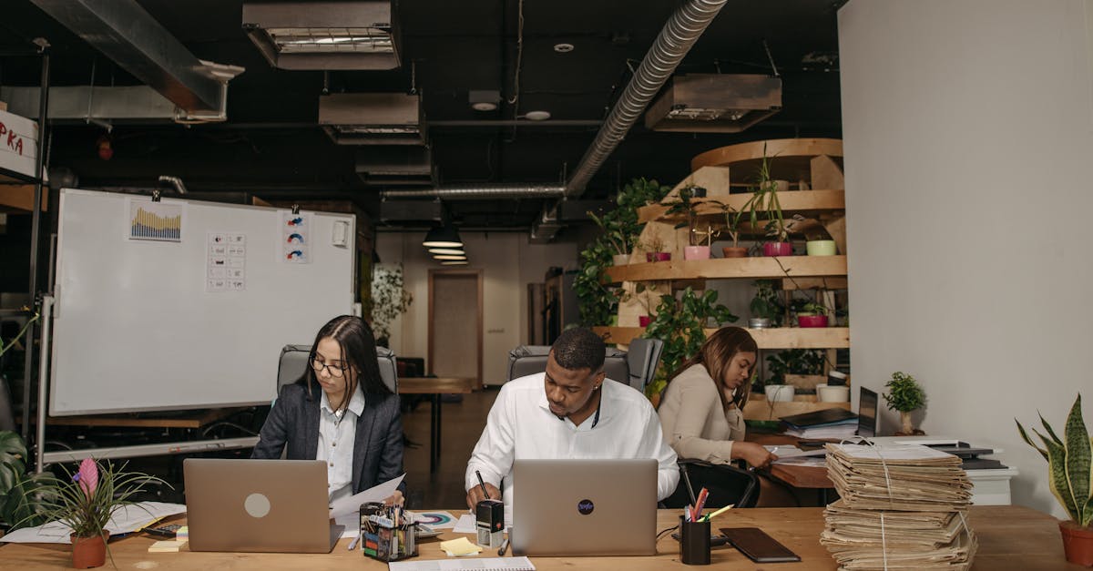 découvrez comment l'entrepreneuriat durable transforme les entreprises et préserve l'environnement. apprenez des stratégies innovantes pour allier rentabilité et responsabilité sociale, tout en contribuant à un avenir plus vert.
