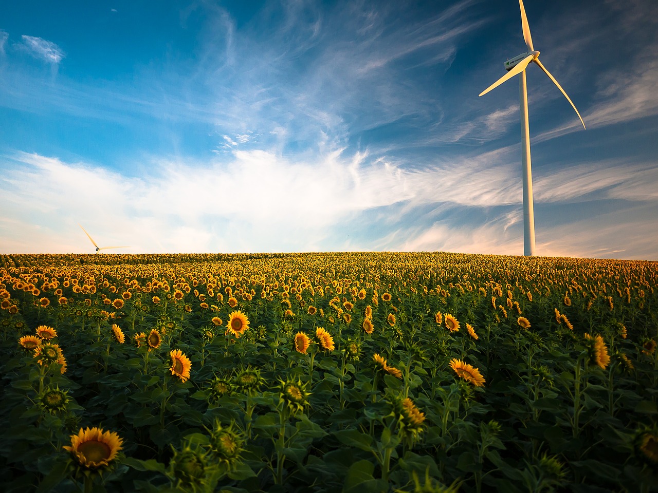 découvrez les éoliennes, une solution d'énergie renouvelable qui transforme le vent en électricité. apprenez-en davantage sur leur fonctionnement, leurs avantages écologiques et leur rôle dans la transition énergétique.