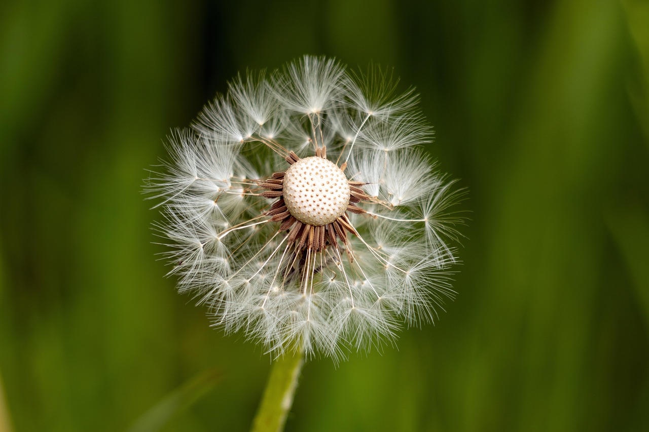 découvrez la résilience : sa définition, ses avantages et des conseils pratiques pour développer cette capacité essentielle à surmonter les difficultés et rebondir face aux défis de la vie.