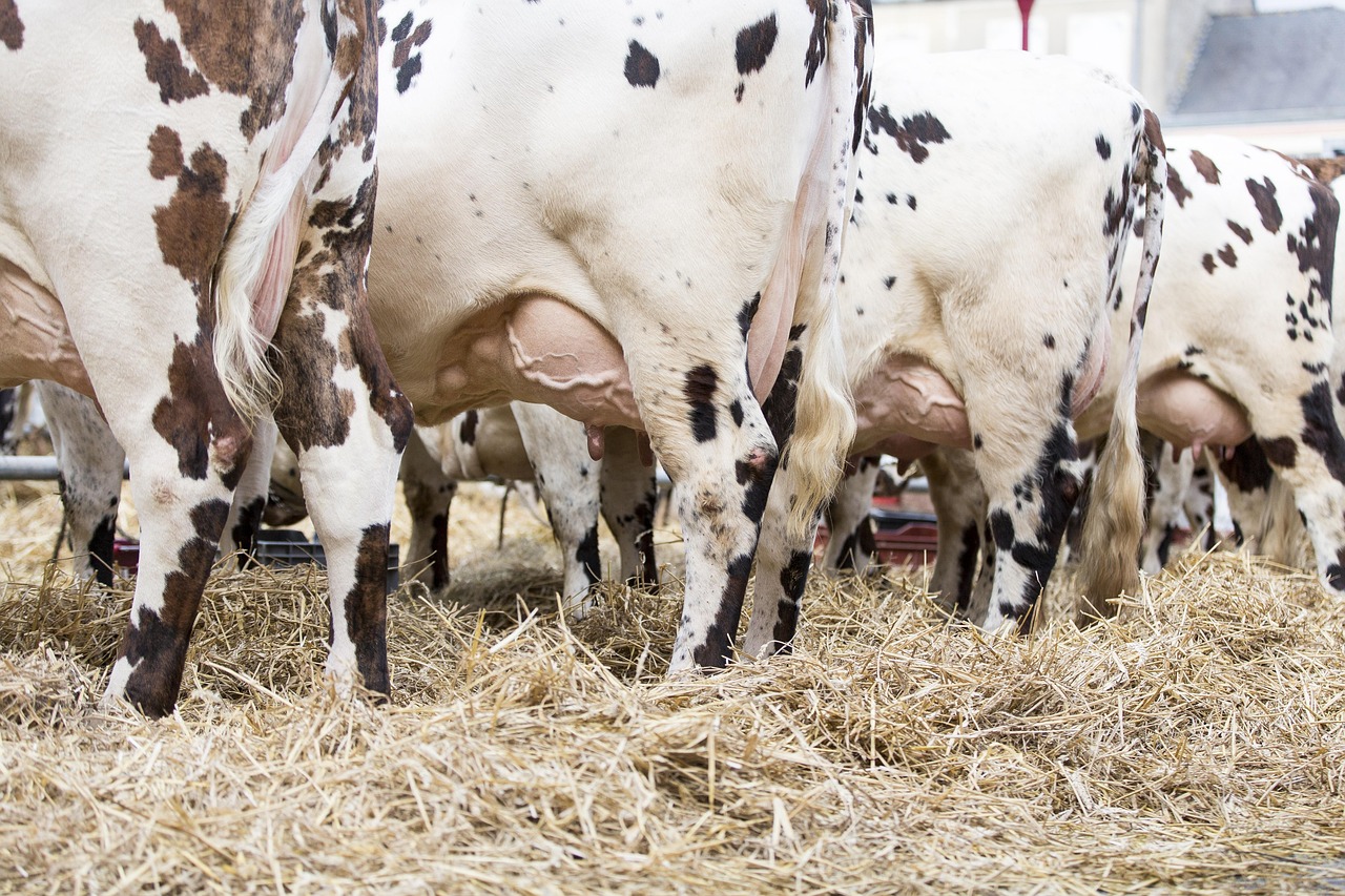 découvrez les dernières actualités, innovations et tendances du secteur de l'agro-industrie. informations, analyses et conseils pour accompagner la croissance durable des entreprises agricoles et agroalimentaires.