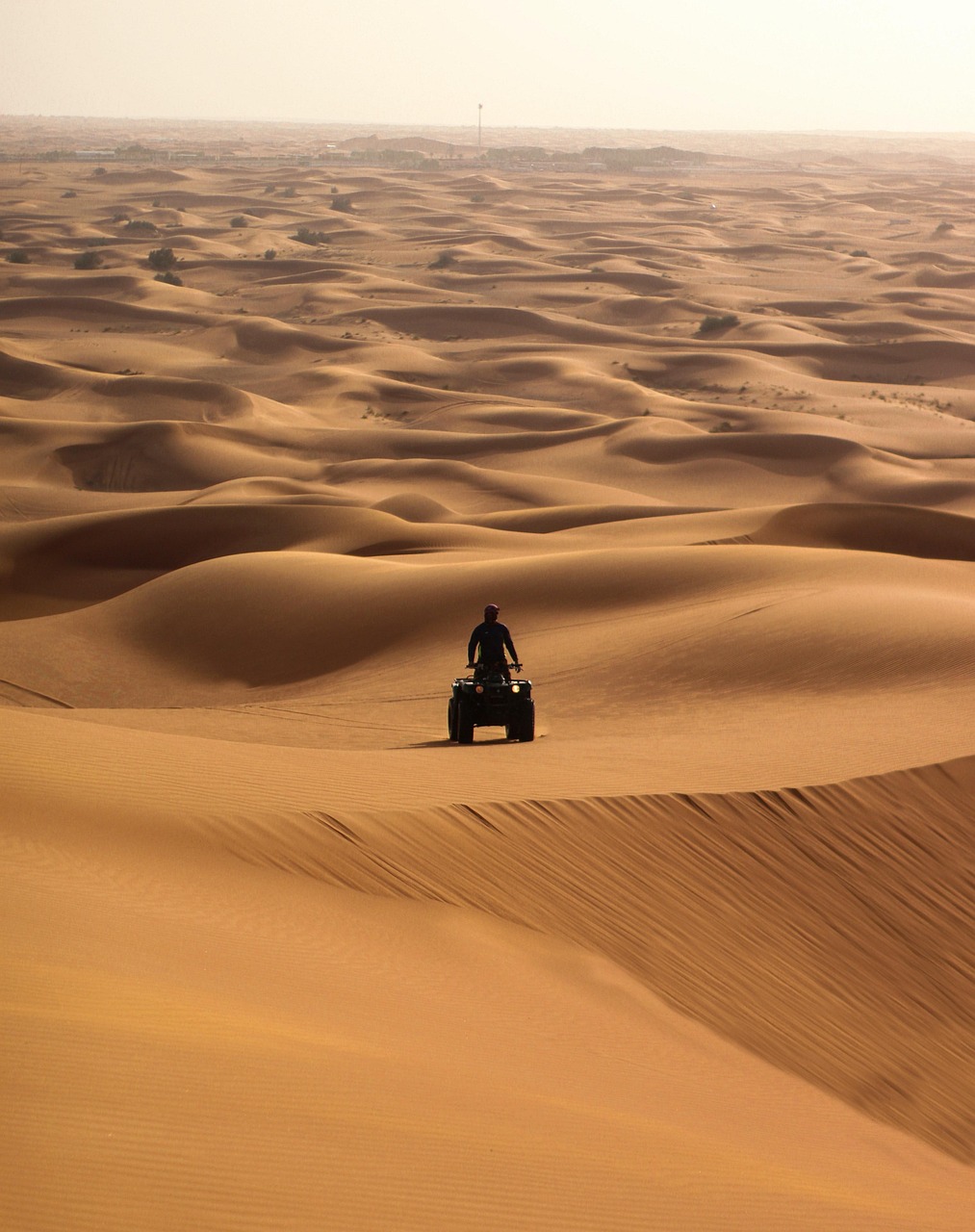 Dubaï, nouvel épicentre mondial de la technologie et de l’entrepreneuriat, selon Hamdan