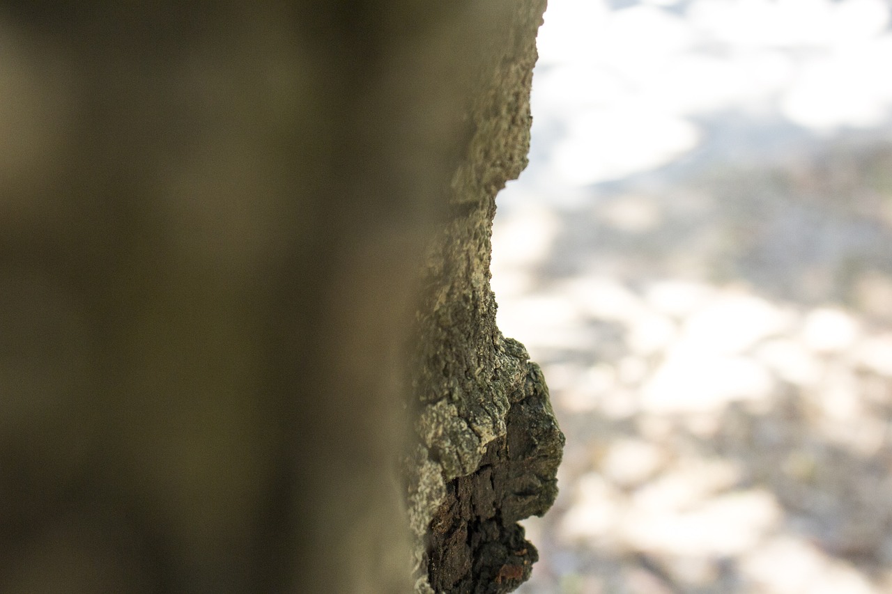 inscrivez-vous facilement pour acc&eacute;der &agrave; tous nos services. remplissez le formulaire d'inscription et profitez des avantages r&eacute;serv&eacute;s &agrave; nos membres d&egrave;s aujourd'hui.