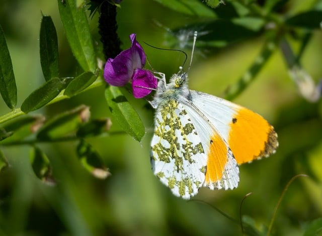 mode durable en 2025 : astuces et conseils pour une garde-robe responsable