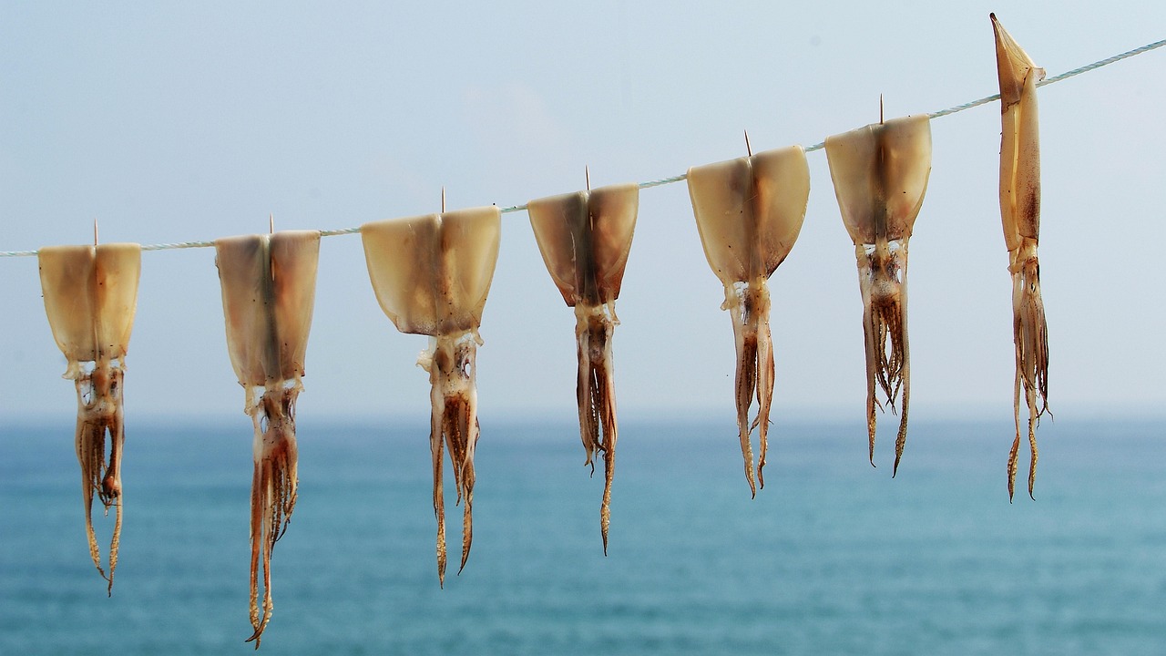 Paris : Une alliance innovante pour pr&eacute;server l&rsquo;avenir des micro-entreprises face aux risques de fermeture