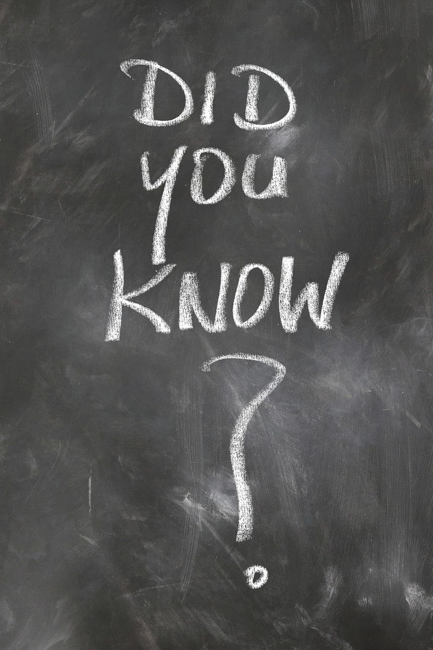 d&eacute;couvrez les opportunit&eacute;s de carri&egrave;re pour les dipl&ocirc;m&eacute;s en optique et les secteurs qui recrutent pour lancer votre avenir professionnel.