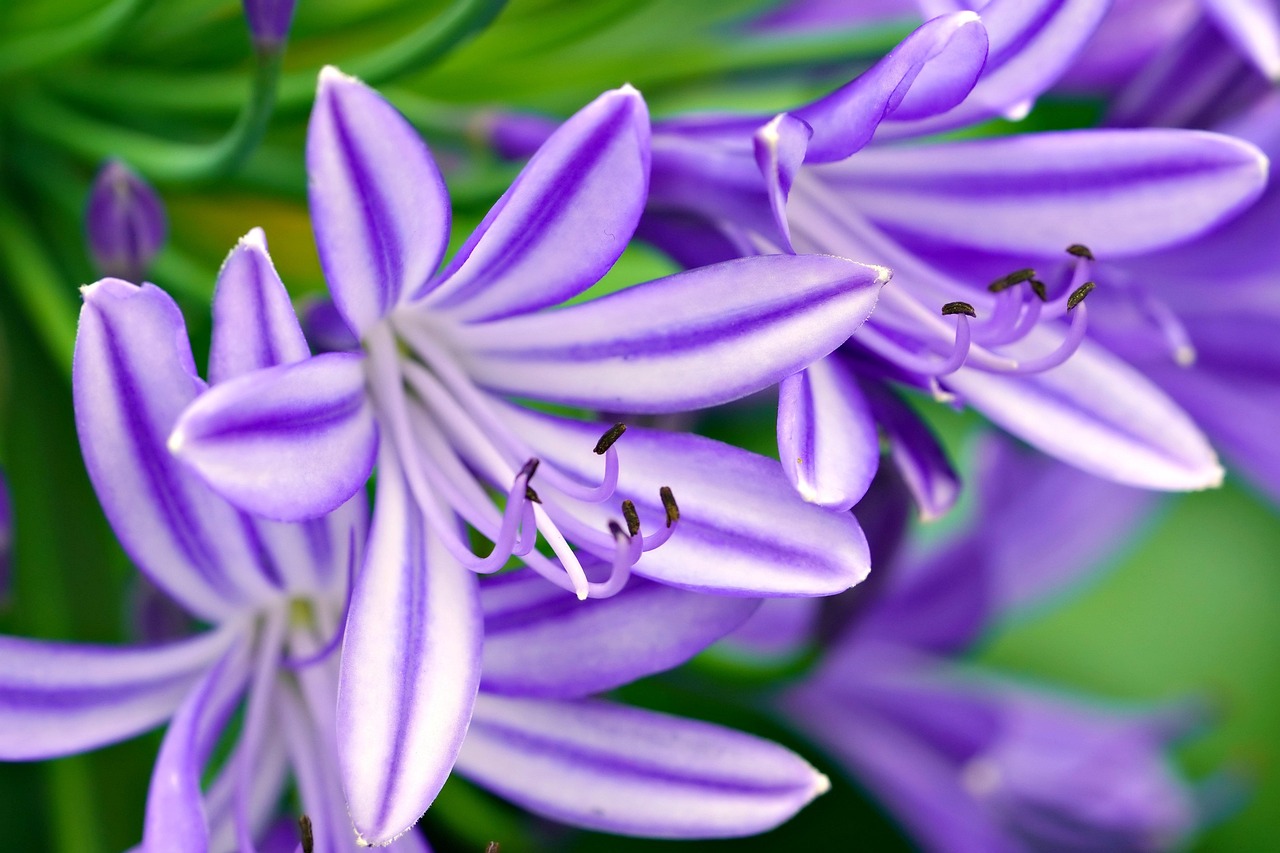 découvrez les start-ups africaines innovantes qui transforment l'économie du continent grâce à des solutions technologiques et entrepreneuriales uniques.