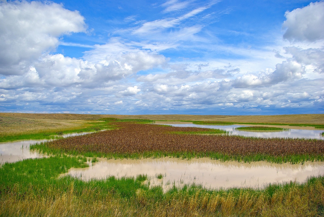 Entrepreneures : décryptage des causes des inégalités salariales face à leurs homologues masculins