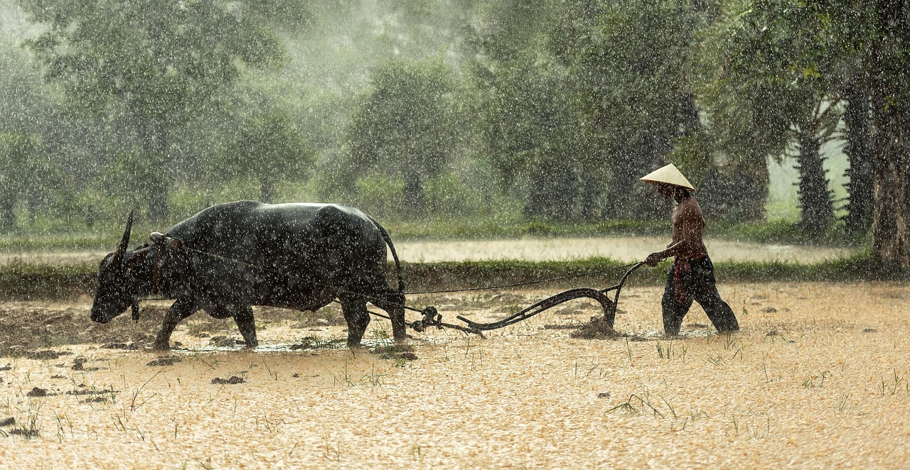 découvrez les raisons de l'abandon chez les agriculteurs en devenir et les défis auxquels ils font face dans leur parcours vers une carrière agricole durable.