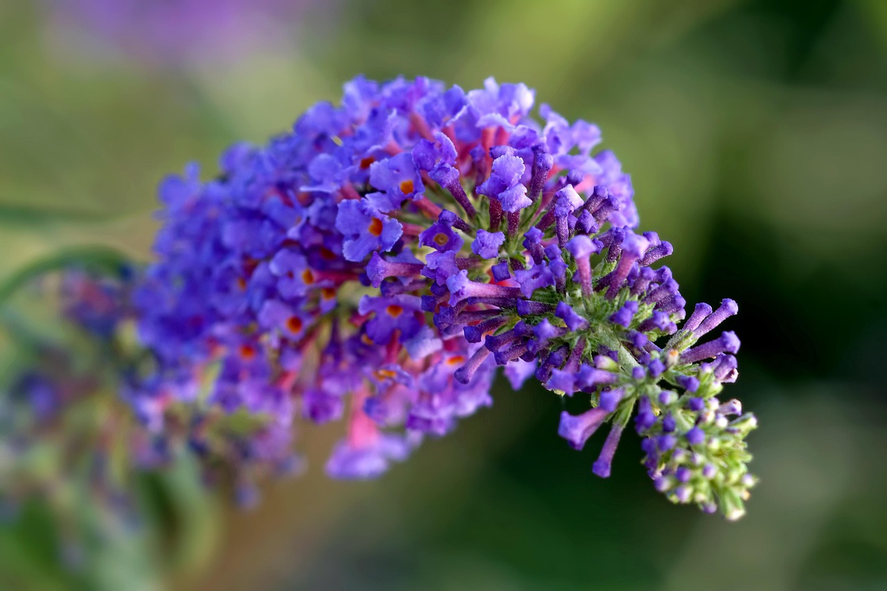 d&eacute;couvrez beauty empires, votre source ultime pour les tendances beaut&eacute;, conseils experts et innovations cosm&eacute;tiques pour r&eacute;v&eacute;ler votre &eacute;clat naturel.