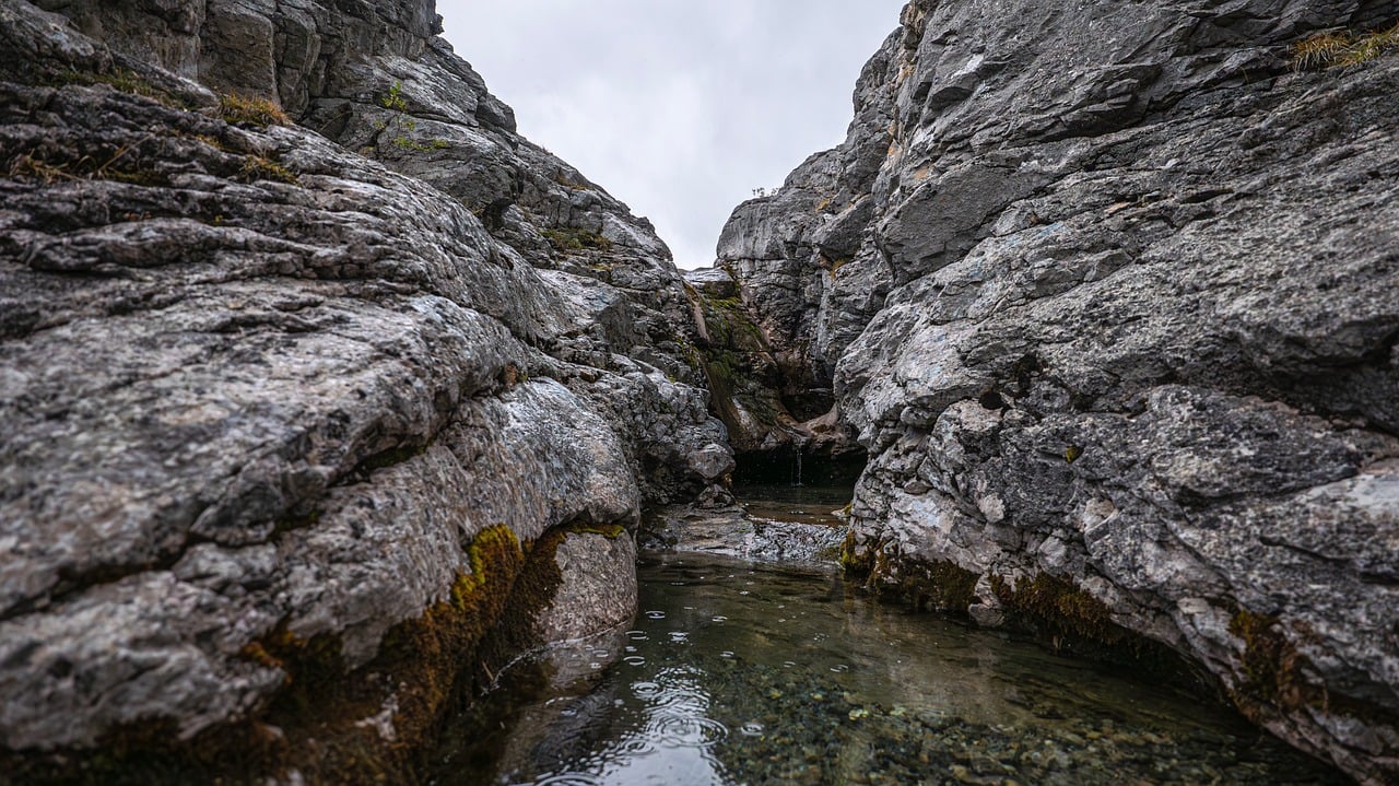 d&eacute;couvrez 'intouchables', une com&eacute;die dramatique fran&ccedil;aise inspirante sur l'amiti&eacute; improbable entre un homme riche paralys&eacute; et son assistant venu de banlieue.